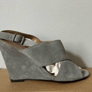Banana Republic Crisscross Suede Platform Sandal